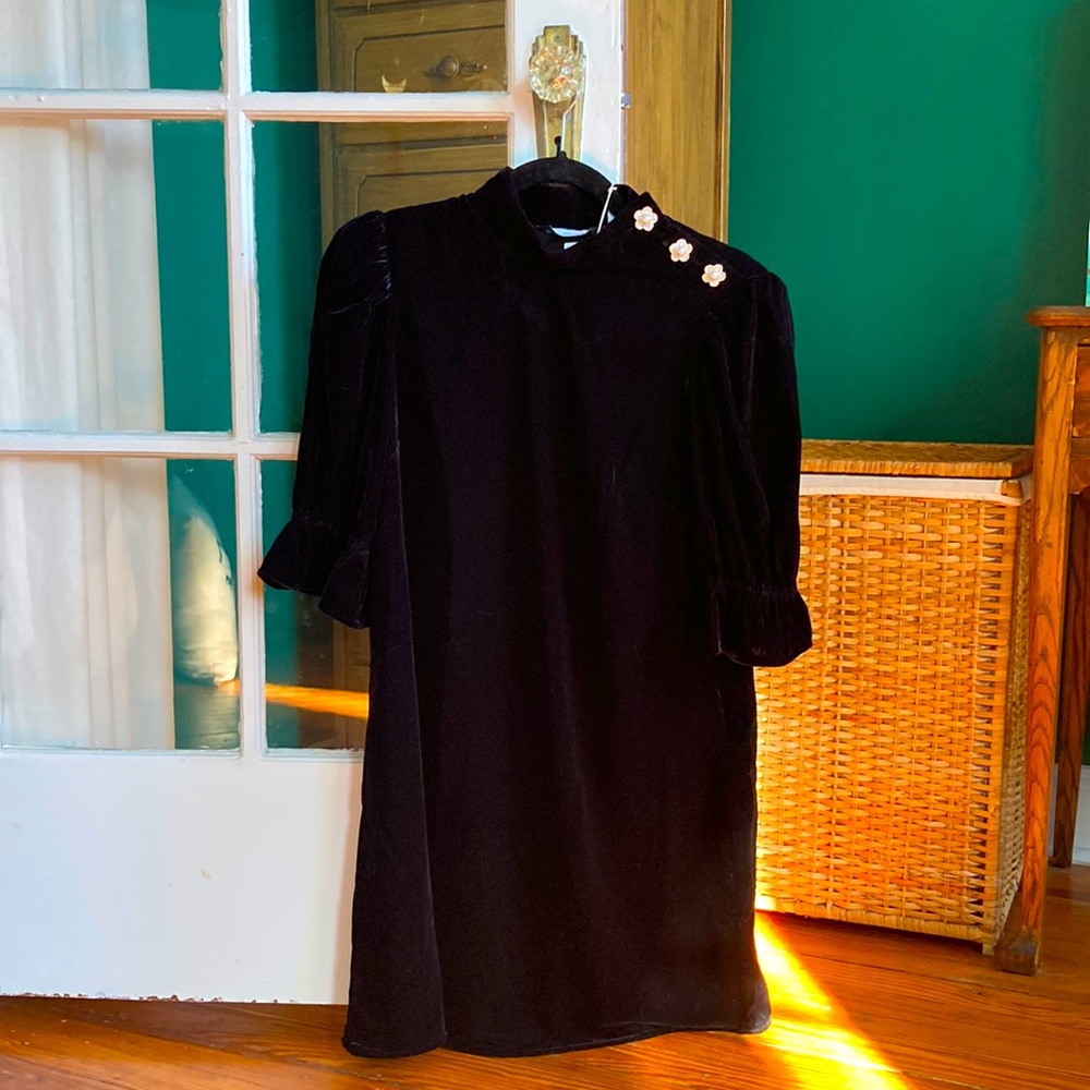 & Other Stories Black Velvet Puff Sleeve Dress
